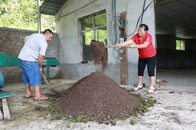 變廢為寶！劍河縣創新研發廢舊菌棒發酵生物飼料助力養殖業降本增效