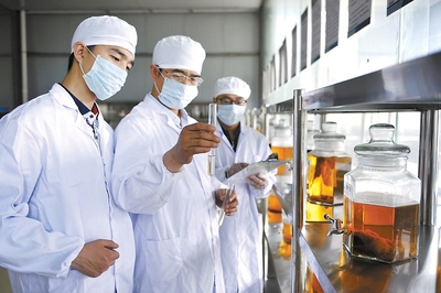 多措并舉用秸稈 變廢為寶獲實惠——生物飼料研發的綠色實踐與廣闊前景