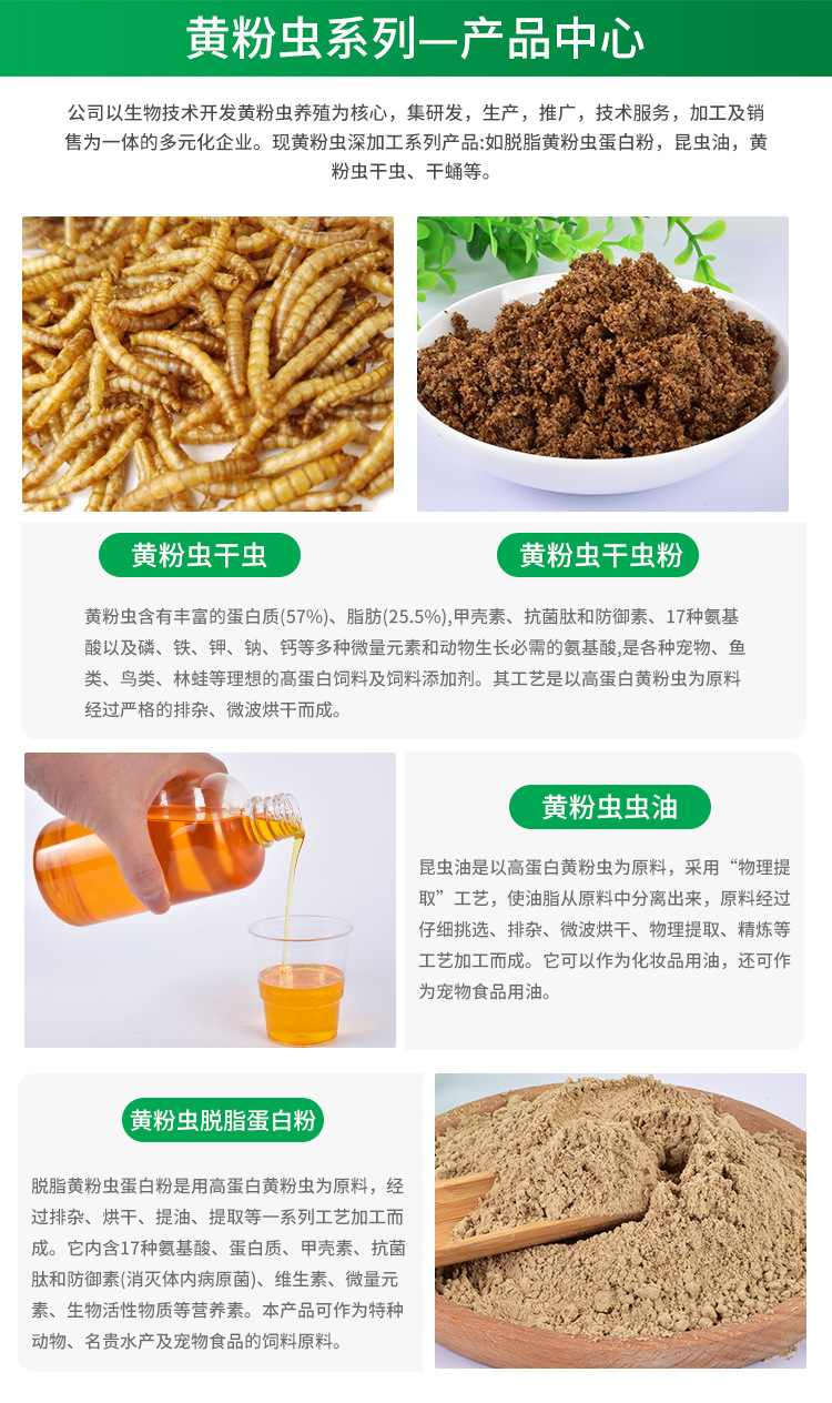 面包蟲干 小身材大營養，一站式全寵物營養解決方案