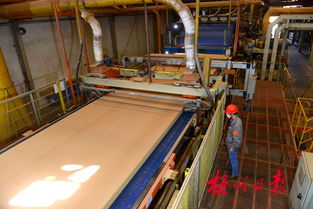 廣西三威林產工業 以創新研發驅動產業升級，生物飼料產品引領綠色新賽道